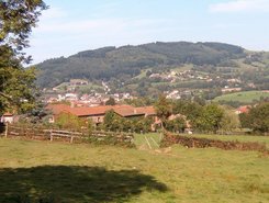Vue Chf